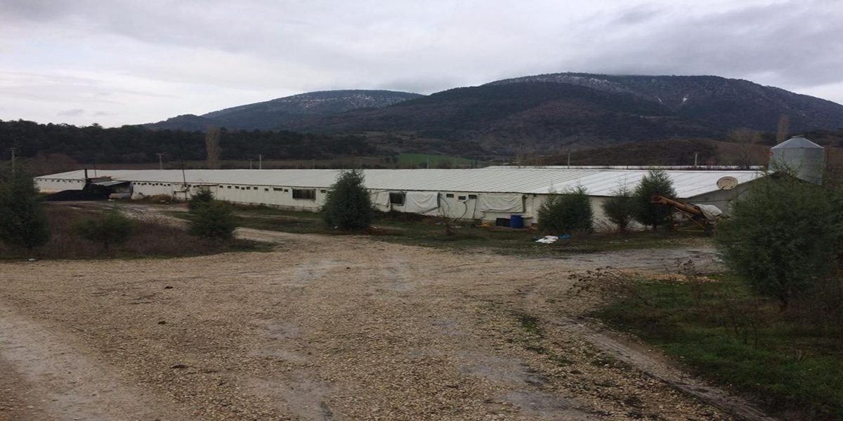 bolu-satılık-tarla